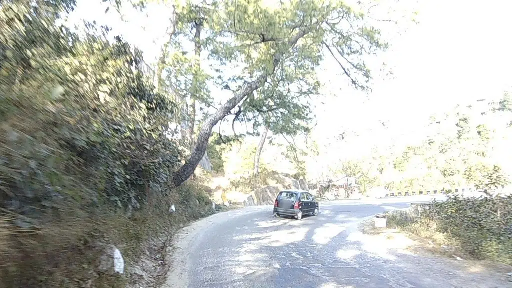 Saini Kangra SUZUKI-Suzuki