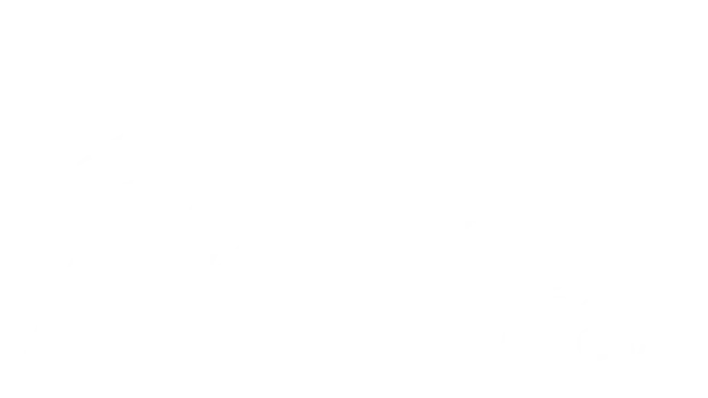HS Solution