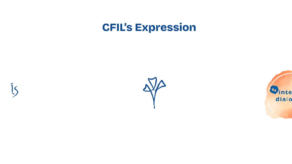 The Integral School