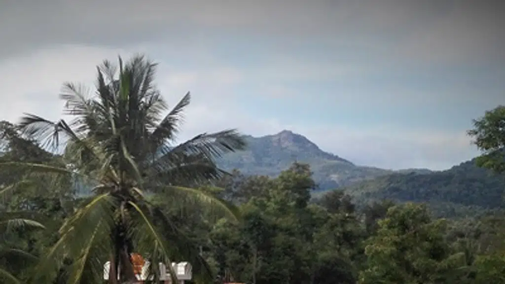 Kalyan Cool villas - Chikmagalur