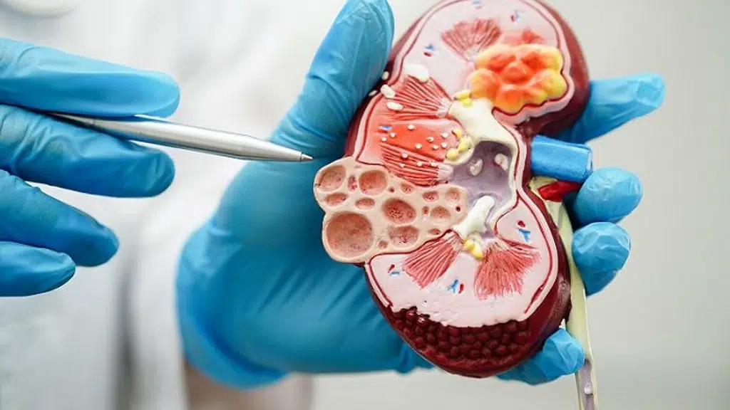 Dr Rohit Badge's Kidney Healthcare Clinic