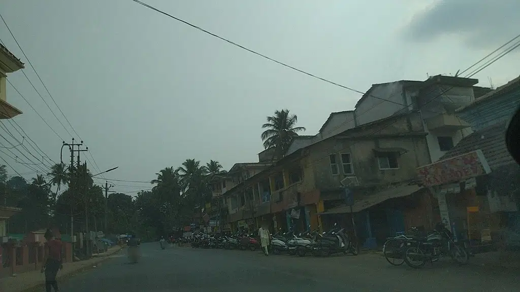 Holy Cross Institute