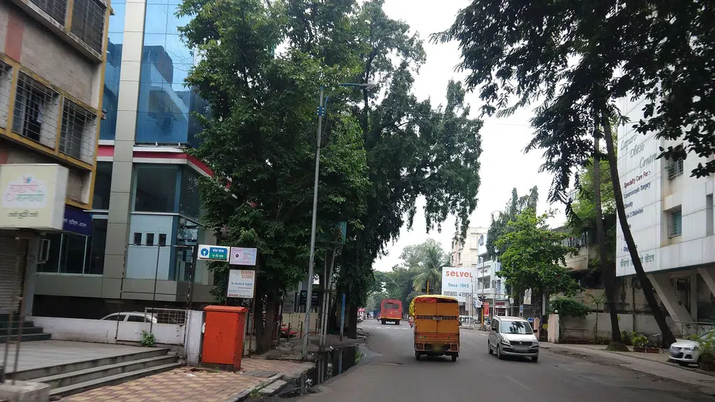 Mahaveer Veg