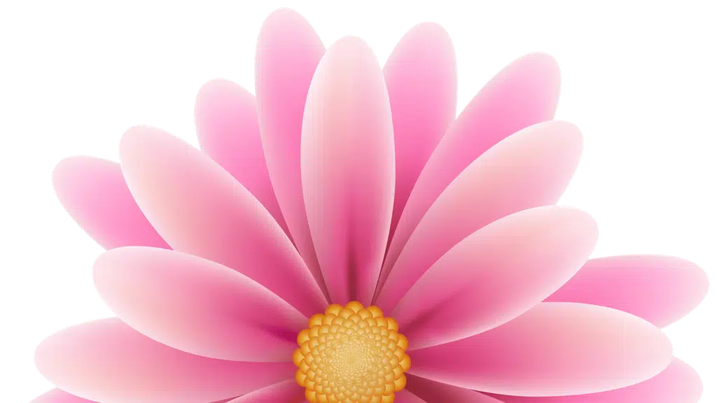 Faridabad Florist