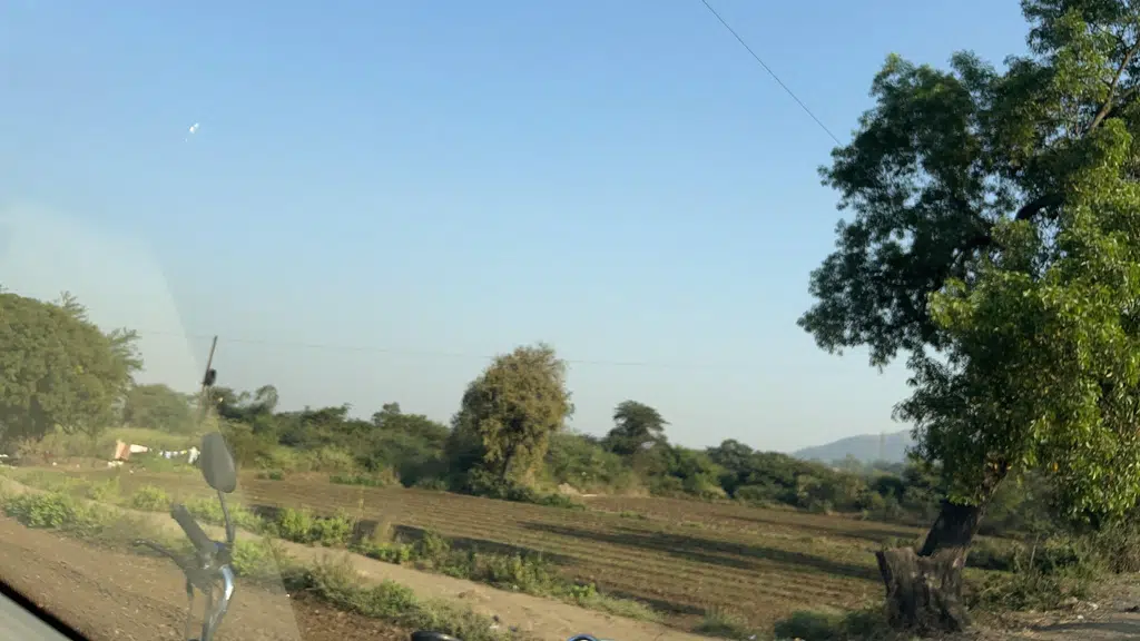 DD Farms