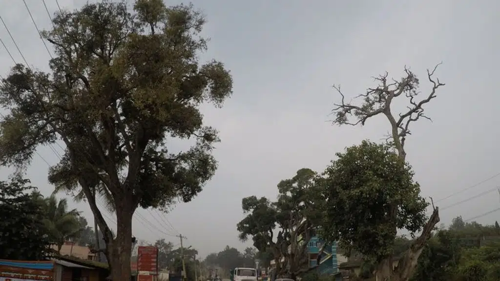Halli Mane Hotel
