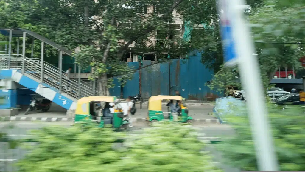Novelty Meat Shop