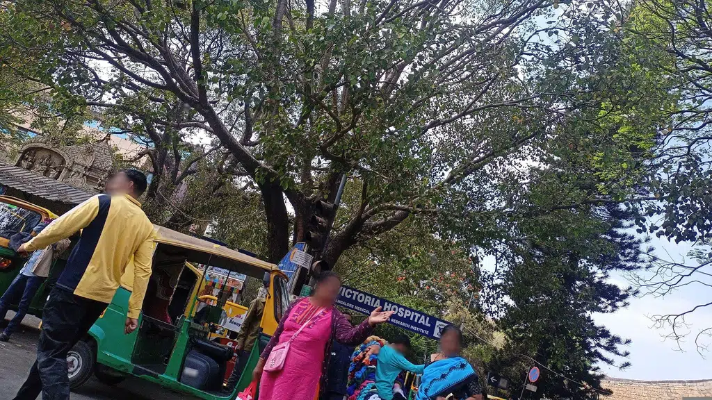 Karnataka State Board Diploma in Nursing Examinal Board