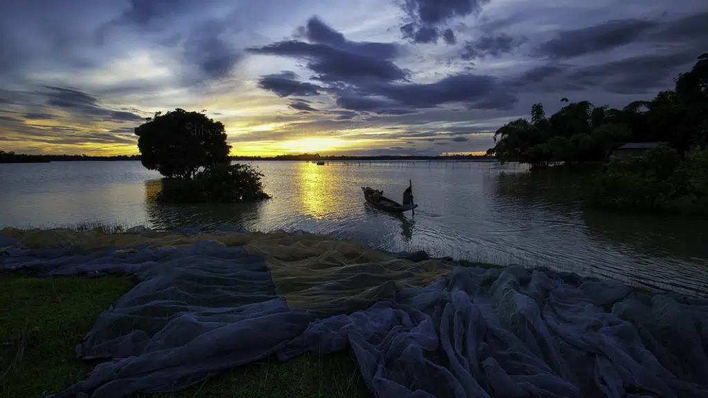 Chatla cachar - wetland চাতলা