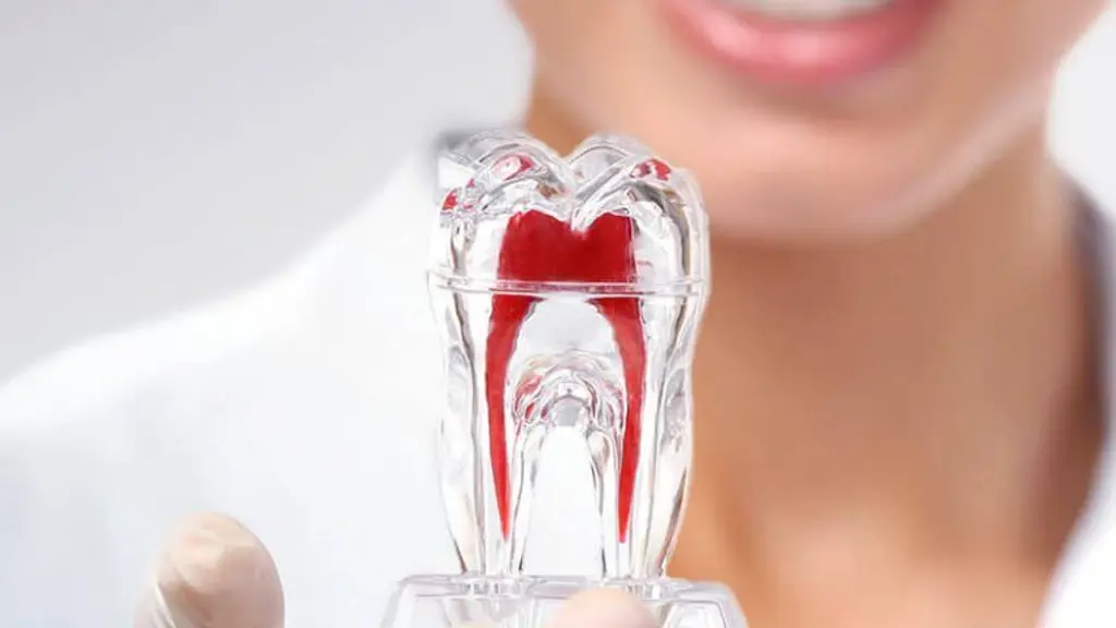 Oryx Dental - Root Canal & Implant Centre