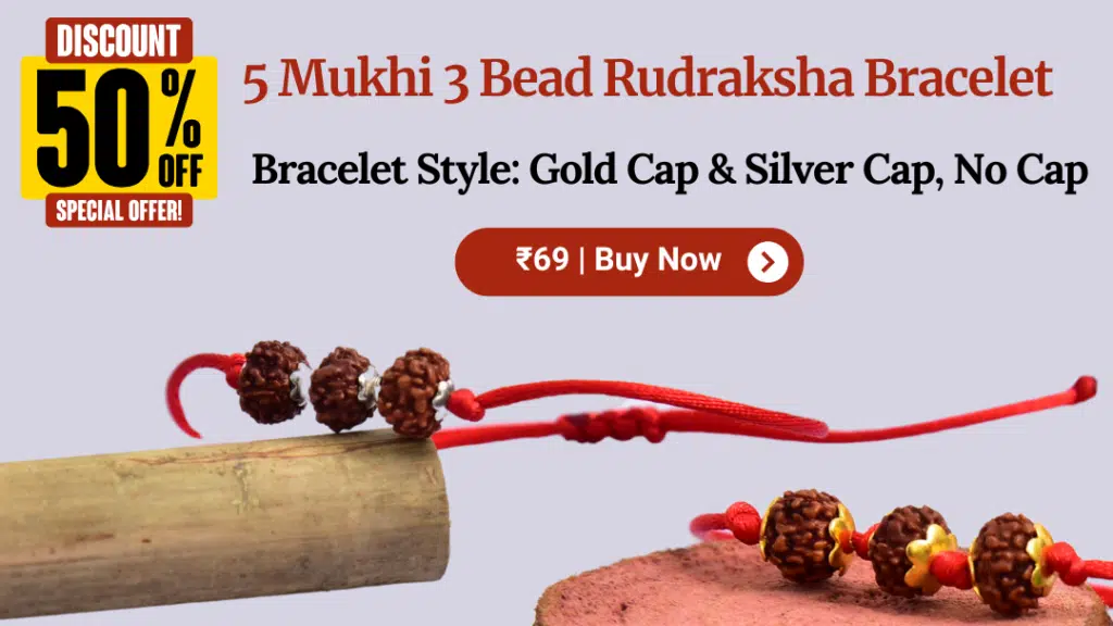 Shivay Nepal Rudraksha