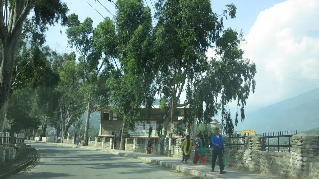 Basketball Court