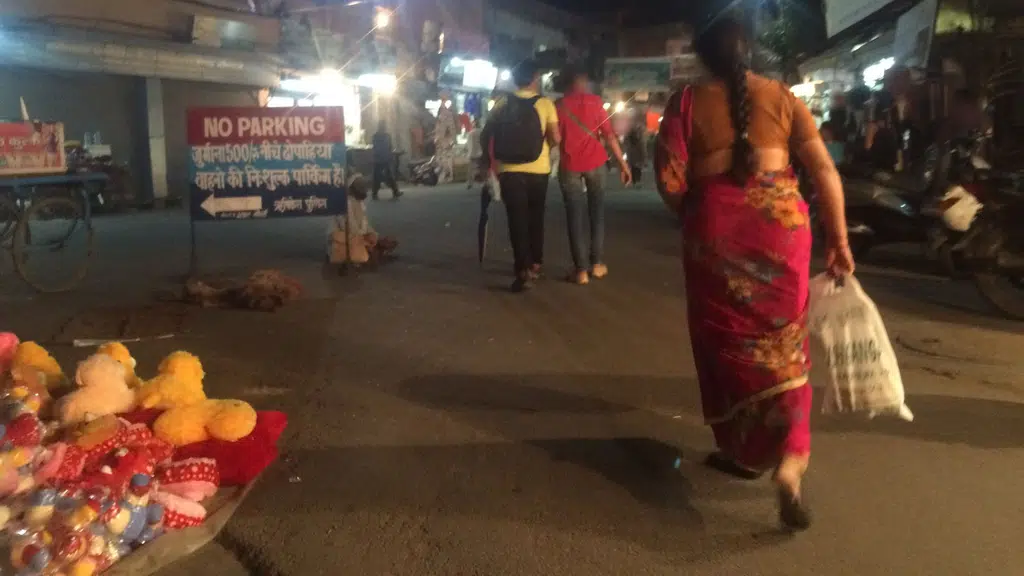 श्री गंगा सभा , त्रिवेणी घाट ऋषिकेश  Shri Ganga Sabha , Triveni ghat