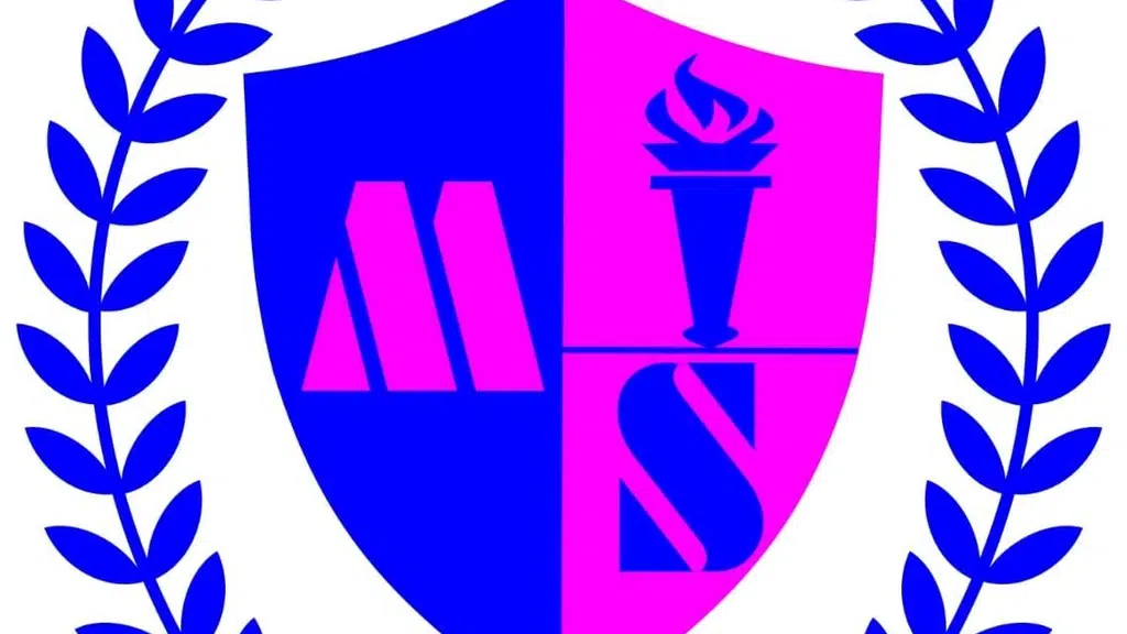 Mayur International School