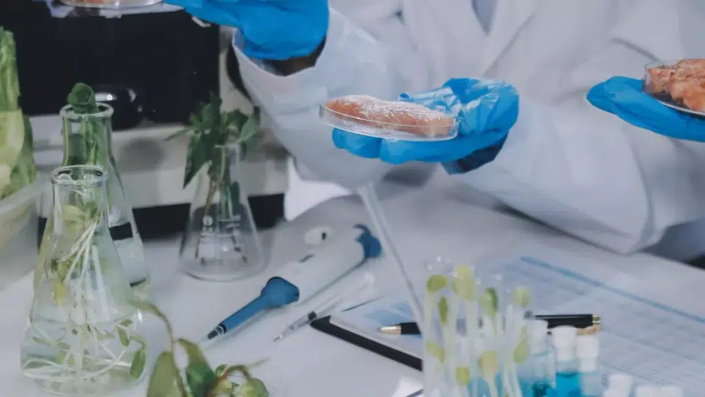 Equinox Labs