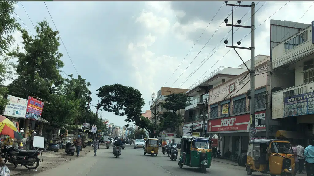Srinivasa Seeds and Fertilizer