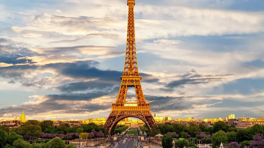 Wonder Tours And Travels