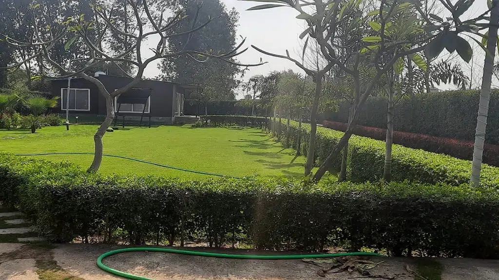 Tyagi Horticulture and Landscaper Services