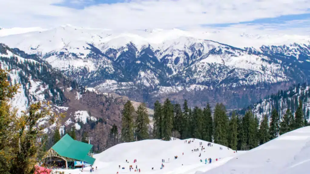 Saiveena Tours and Travels