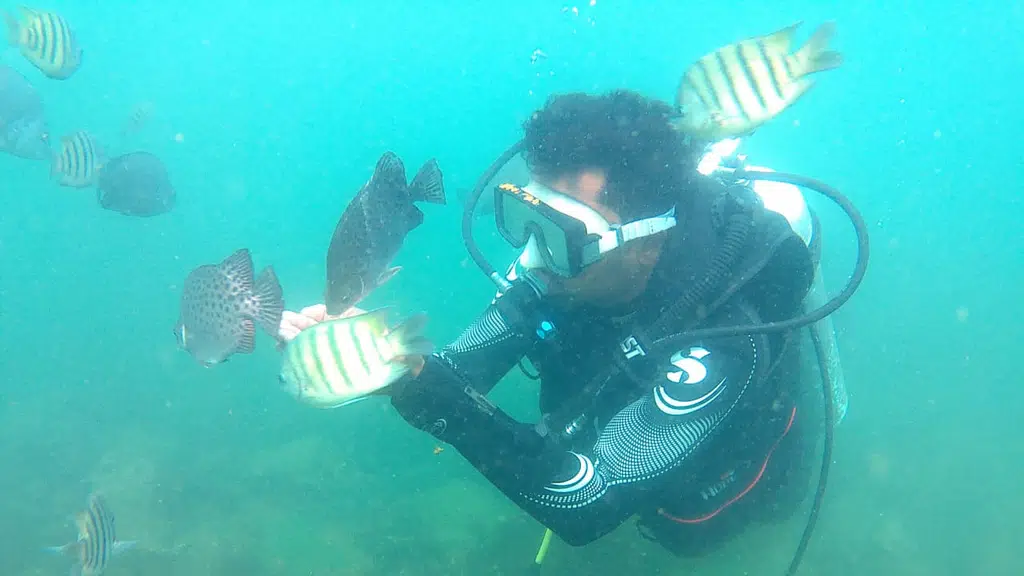 U sea scuba diving center Malvan tarkarli