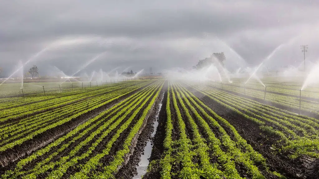 Dhanashree Unnati Drip and Agro Services
