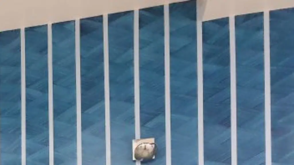 Abdul Bros Painting & Renovation Contractors Noida 9711977703