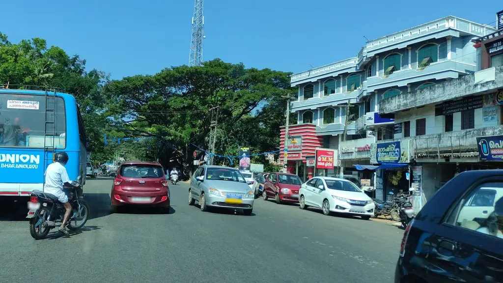 DB Collage Sasthamcotta ( kollam-Kerala)