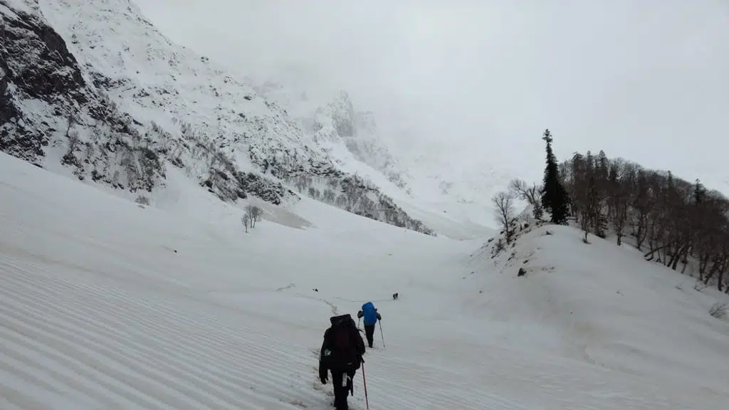 Himalayan Blue Sheep Tours