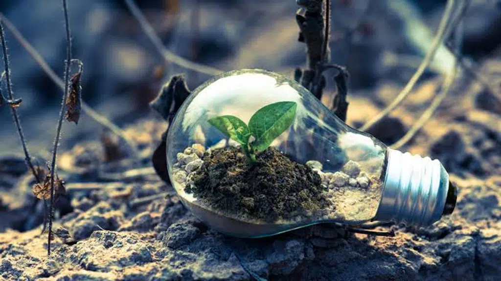 Clean Enviro Products and Services