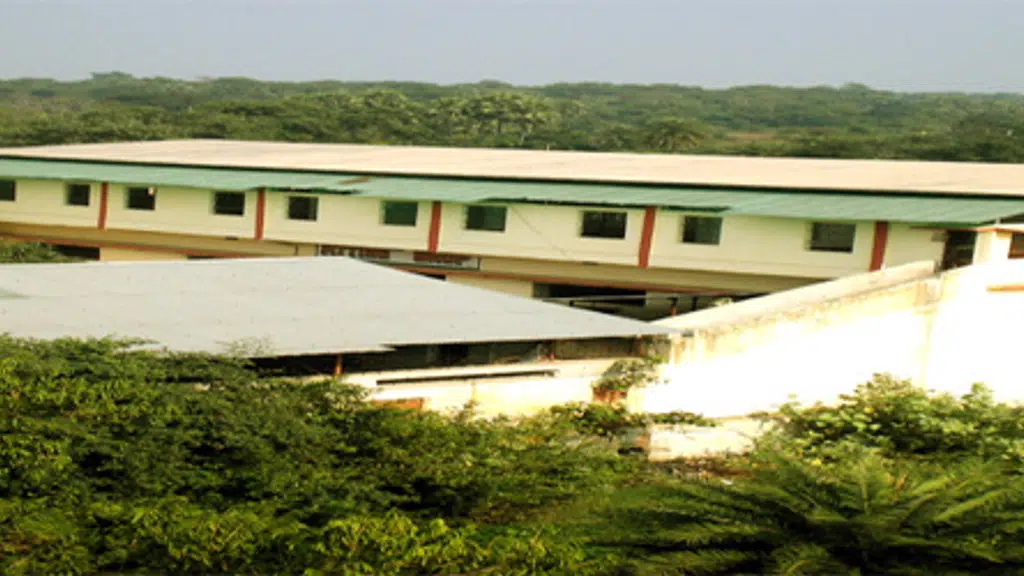 Baliapur Institute Of Technology