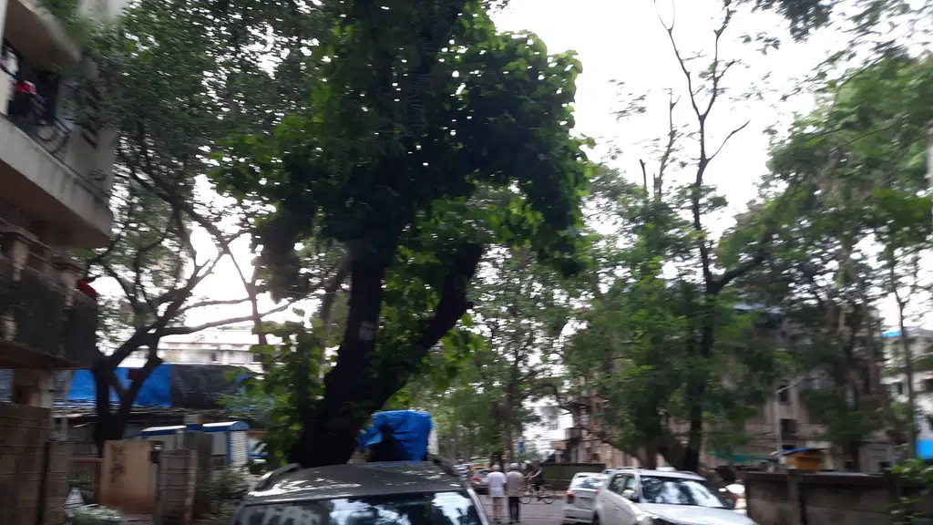 Santok Bhuvan
