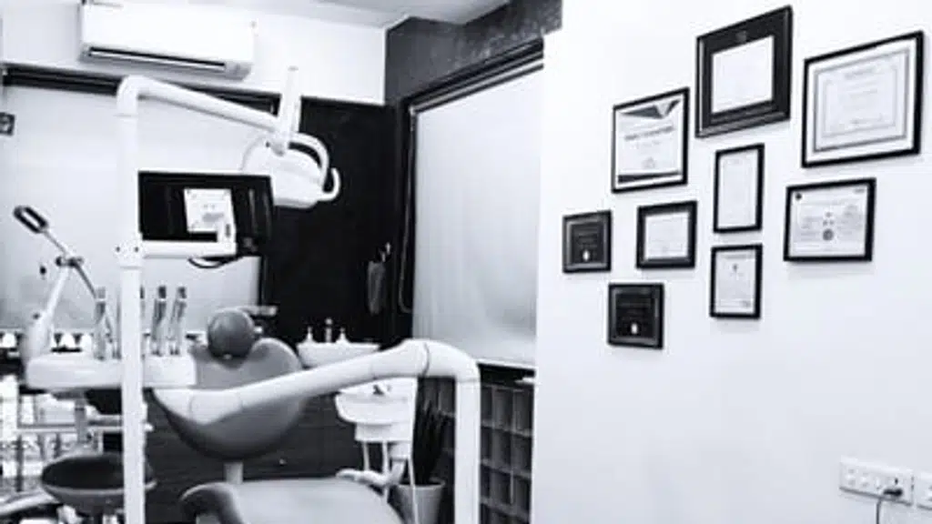 The Dental Arch