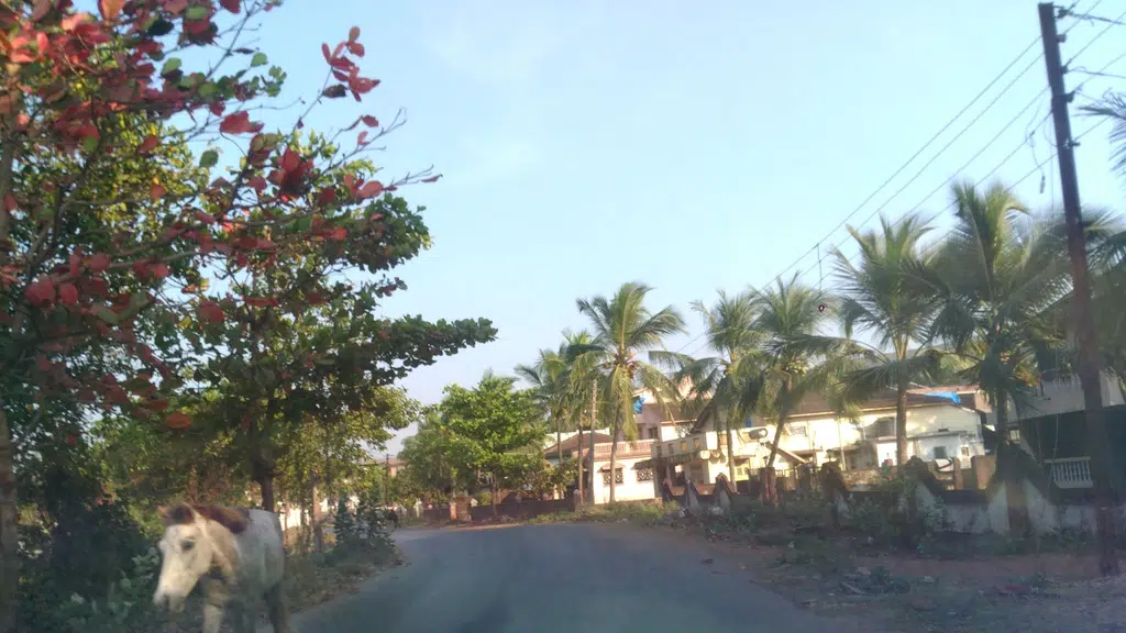 Hotel Pahunchar