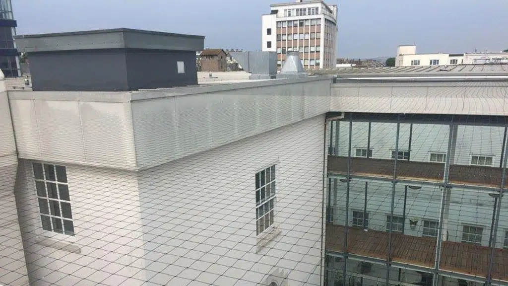 Reach Netting Solutions Private Limited
