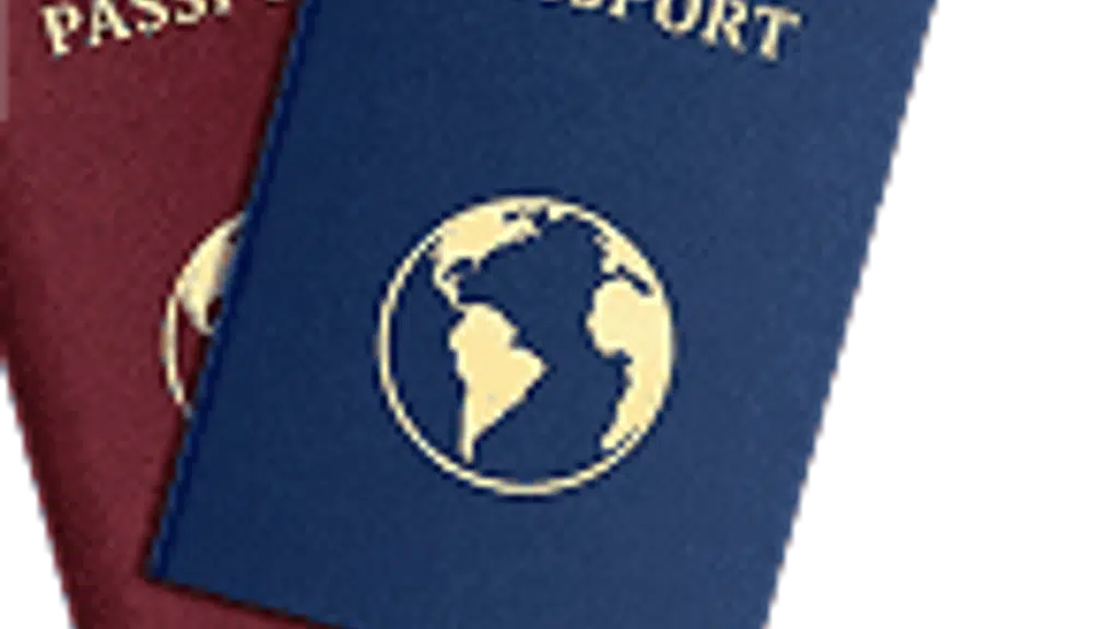 Fly success abroad