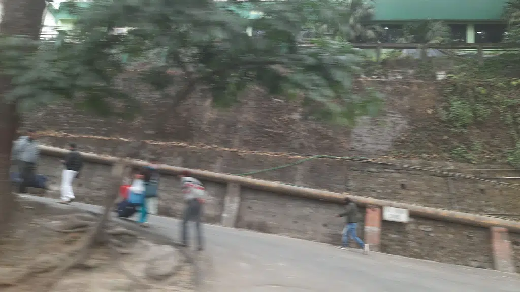 Forest and Environment Department, Govt. of Sikkim