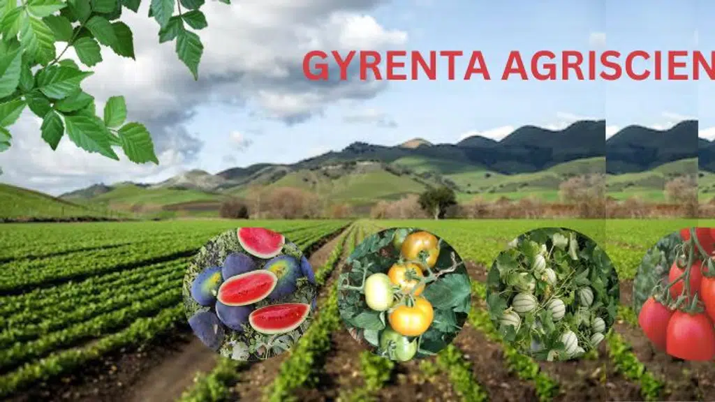 Gyrenta Agriscience India