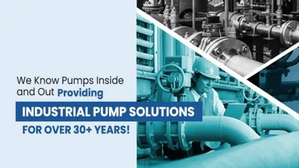 Sintech Pumps