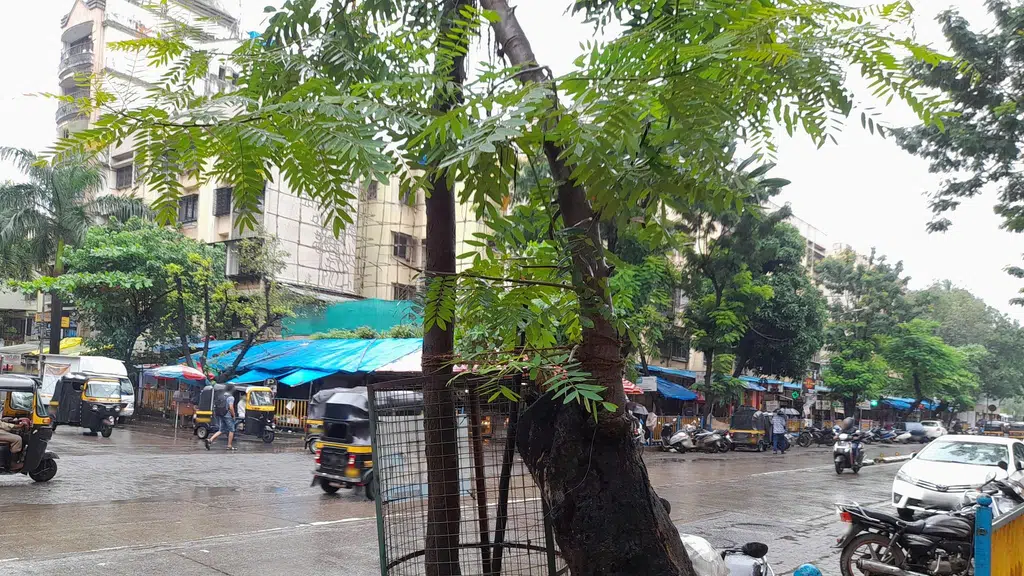 Godavari Co op Housing Society-Gate 2