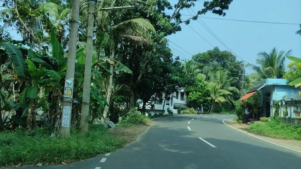 Sajo Bijo Store