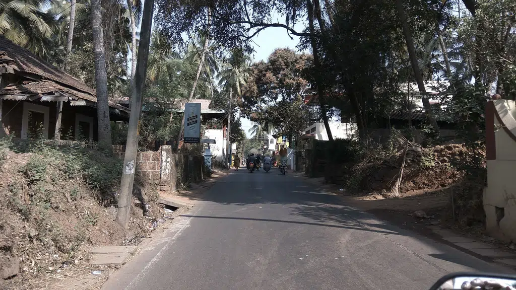 Saligao Village Market
