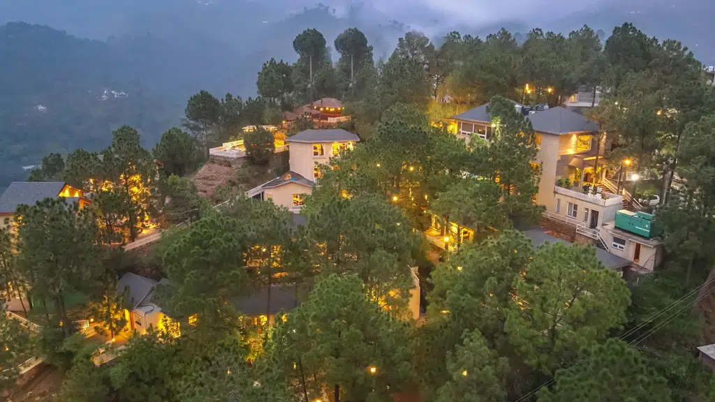 Jungle Lodge Resort