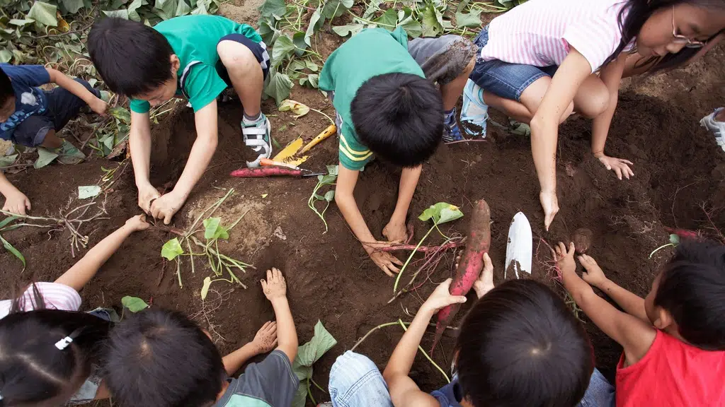 Rochan One Step Towards Humanity Foundation
