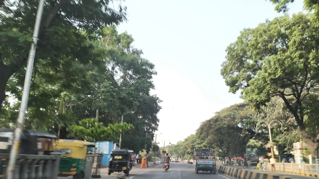 The Little Gym Of Yadavgiri