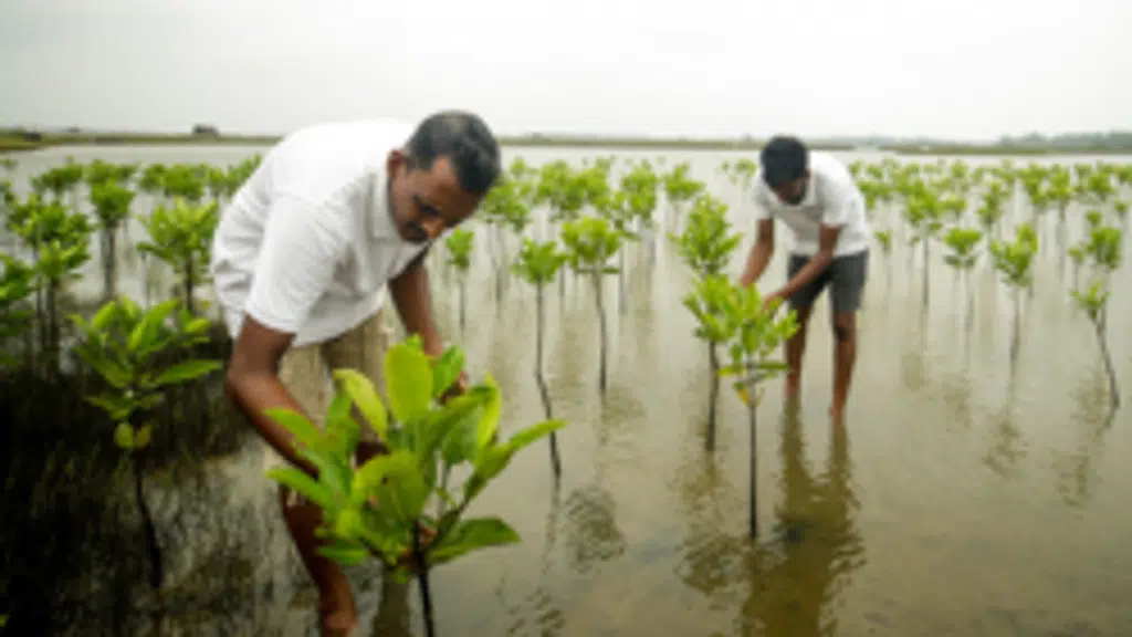 Reliance Foundation