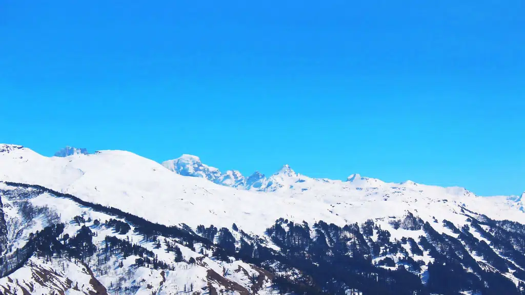 Hotel Snow View Manali