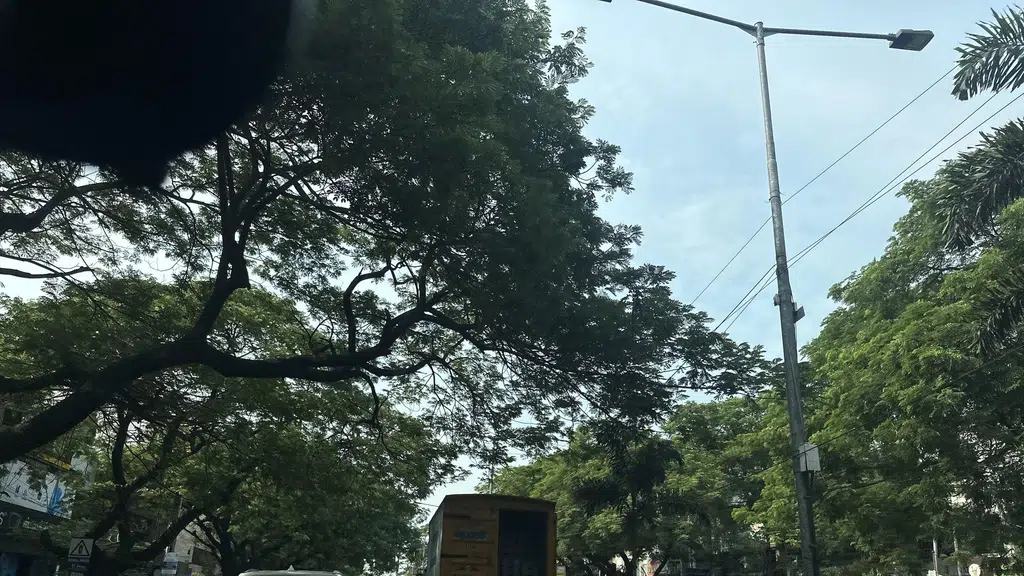 Nexa Anna Nagar