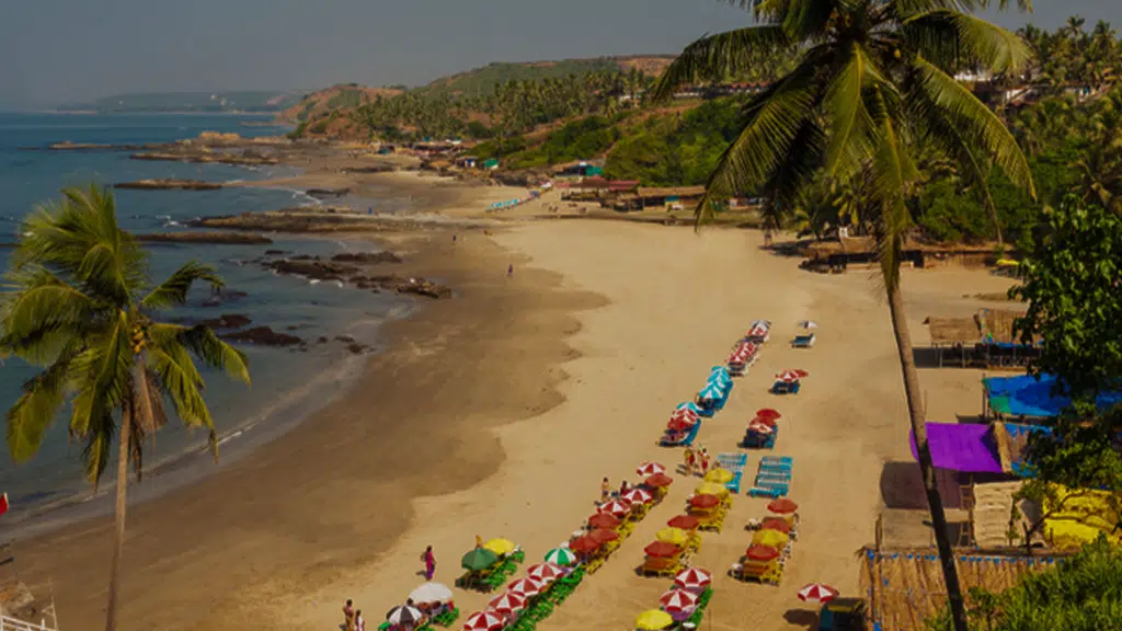 Sea Shell Beach Cottages & Suites