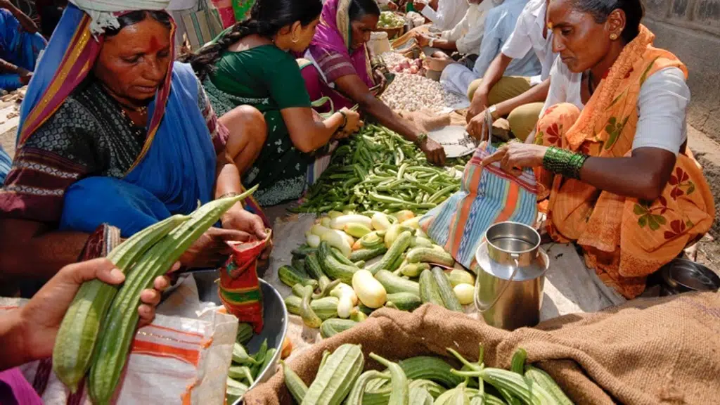 Mann Deshi Tarang Vahini