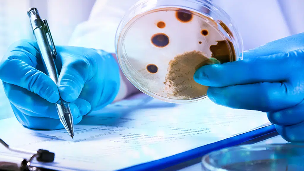 Sangene Biotech Pvt. Ltd.